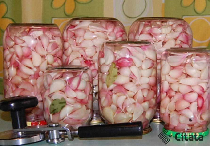 Маринованный чеснок холодным способом. Одна из наших лучших традиционных закусок!