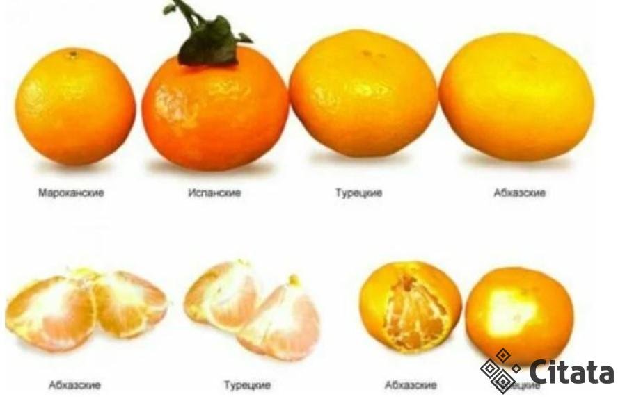 Вкусные мандарины можно выбрать, не пробуя. Главное знать 2 важных признака