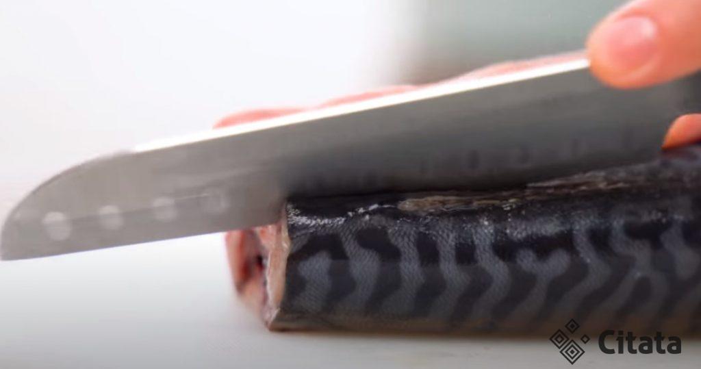 Солим Скумбрию вкуснее красной рыбы: 4 часа стоит на кухне, а потом 2 в морозилке