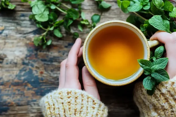 Полезен ли орегано-душица для зрения? Преимущества, применение и меры предосторожности