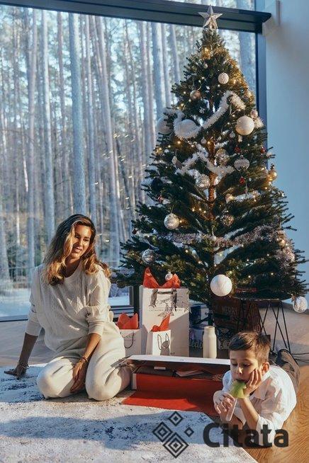 Viktorijos Macijauskienės Kalėdų eglutė (nuotr. pranešimo spaudai)