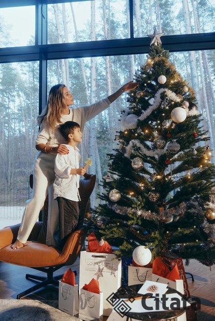 Viktorijos Macijauskienės Kalėdų eglutė (nuotr. pranešimo spaudai)