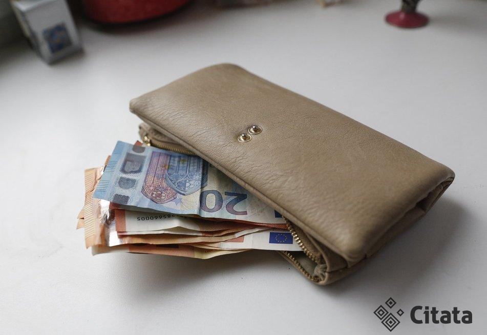 Piniginė (nuotr. Elta)