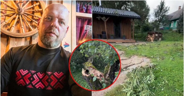 Audra smogė Gabrieliaus Liaudansko-Svaro sodybai: šeši medžiai neatlaikė stichijos