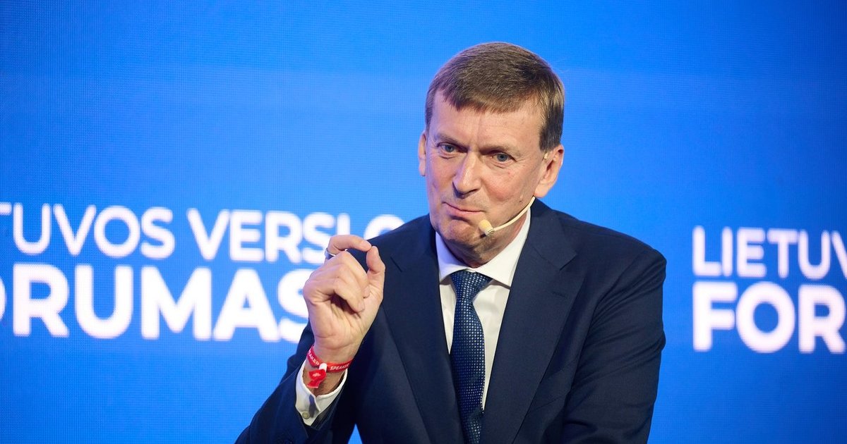 Dainius Dundulis neplanuoja dalyvauti prezidento rinkimuose: verslas svarbiau nei politinė kova